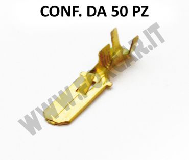 Capicorda Faston maschio grande con dente