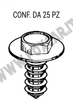 Viti autofilettanti filetto 6 mm e lunghezza 22 mm per fissaggi vari su Fiat, Lancia,
  Alfa Romeo