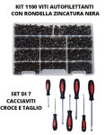Promo Viti autofilettanti + Set di 7 cacciaviti misti a croce e a tagl...