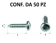 Vite inox autofilettante testa bombata a croce 4,2 x 19 mm