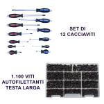Promo set di 12 cacciaviti professionali a croce e taglio + 1'100 viti...