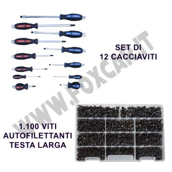 Promo set di 12 cacciaviti professionali a croce e taglio + 1'100 viti autofilettanti a testa larga
