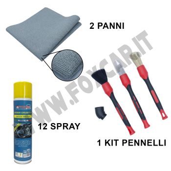 PROMO: 1 kit di 3 pennelli per pulizia auto + 2 panni nuvola 52x44cm + 12 spray lucida cruscotti senza silicone