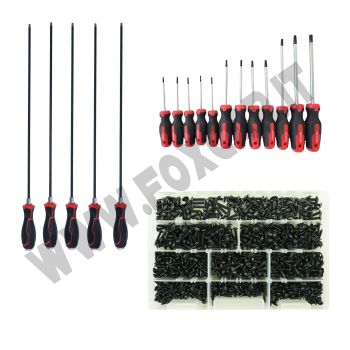 Promo: kit 900 viti testa larga impronta torx + set cacciaviti 5pz extra lunghi torx 570 mm + serie 12 cacciaviti torx