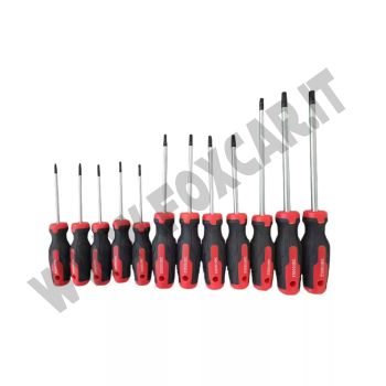 Set di 12 cacciaviti TORX da T6 a T45